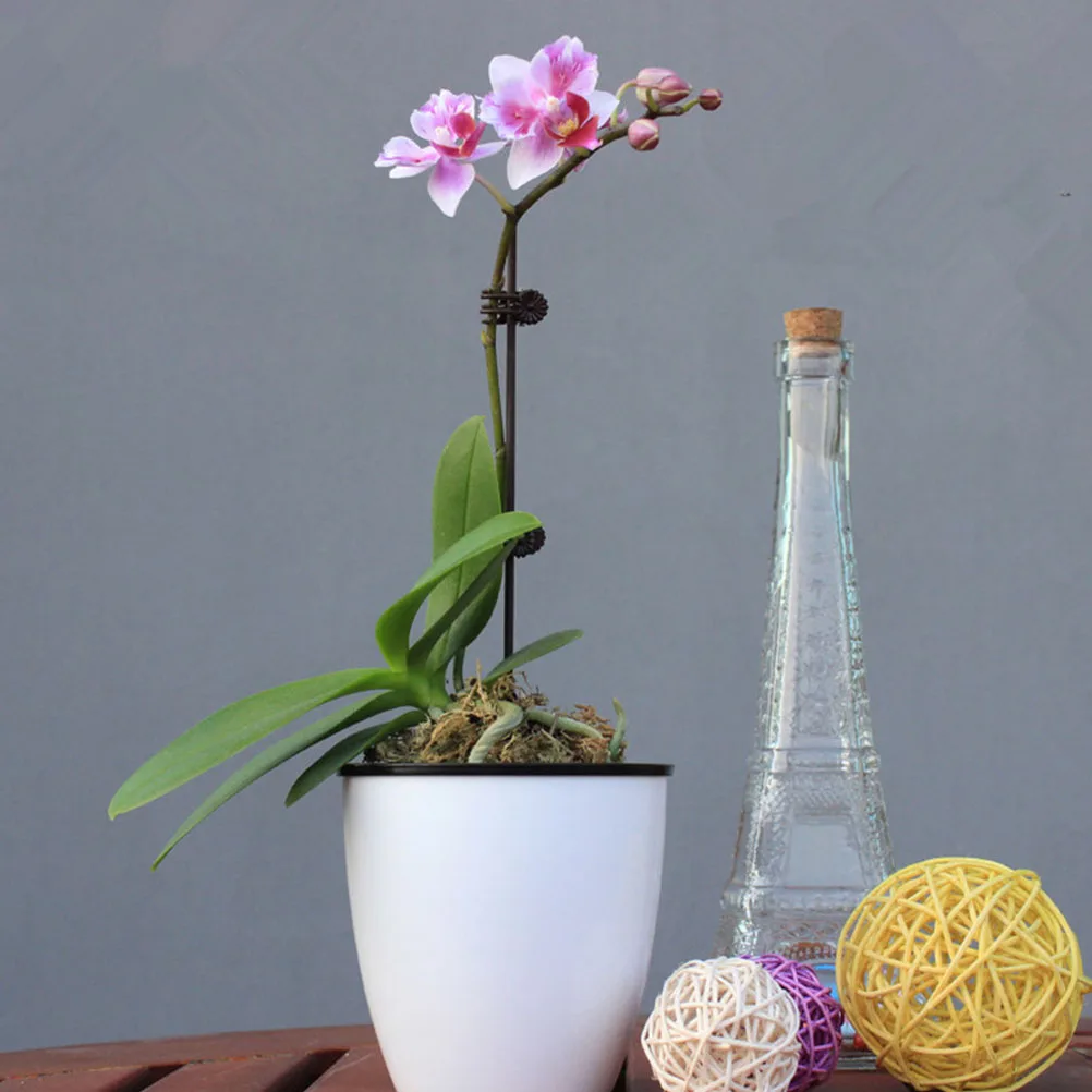 

150 Pcs Orchid Clips Plastic Brown Large Vine Plant Clamps Supporting Stem Garden Supplies Crawler Tomato Beans