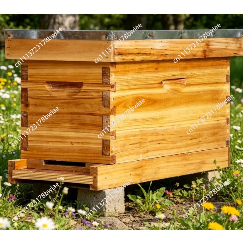 bee box beekeeping tools italian bee honey bee breeding wooden box lang style standard five frame durable beekeeping farm