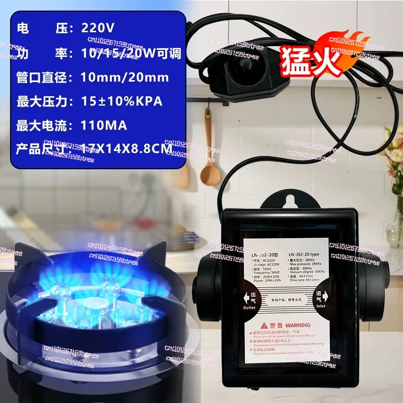 

Household Natural Gas Biogas Booster Pump Ac Biogas Gas Booster Pump Oxygenation Pump Dedicated To Biogas