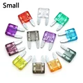 Small