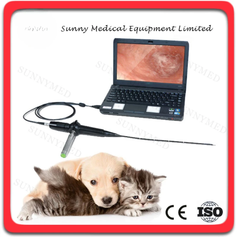 SY-P036 Medical nasopharyngoscope usb video bronchoscope usb digital endoscopy