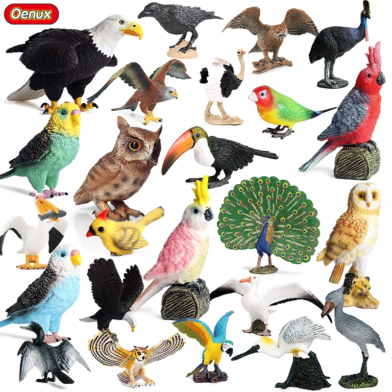 Oenux Bird Animal Parrot Peacock Owl Ostrich Crow Cassowary Model Solid PVC Action Figures Garden Decoration Education Kids Toy