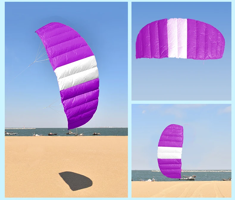 

free shipping 210cm dual line sport power kite flying for new beginner parachute rainbow umbrella nylon fabric paraglider koi