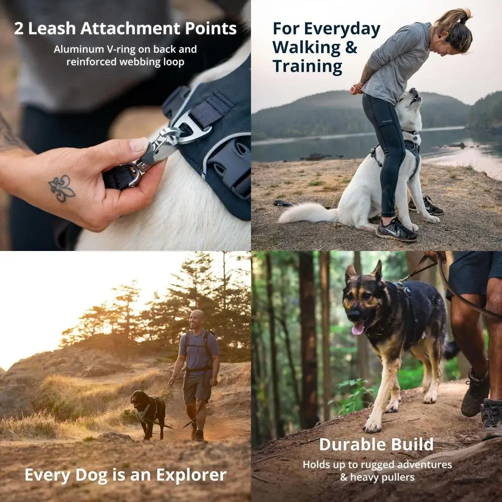 

Светоотражающая мягкая шлейка для собак, средняя, базальтово-серая, двойные зажимы, регулируемая для тренировок и прогулок