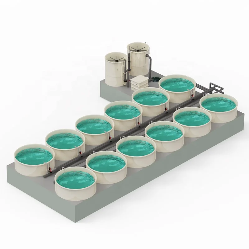 Sistema de acuicultura de recirculación comercial para granja de peces de salmón Tilapia, filtro de tambor de Material PP para agricultura de peces Ras