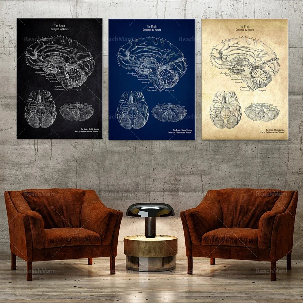Body head anatomy, brain neuroscience poster wall art print home bedroom living room decor