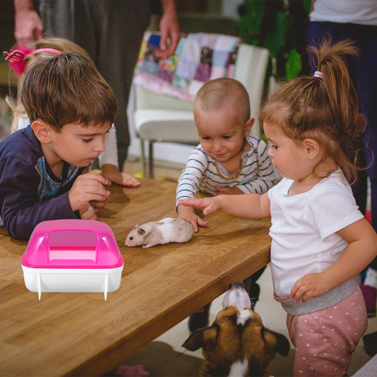 2 قطعة غرفة حمام رمل الهامستر نصف حاوية بلاستيكية شفافة قابلة للفصل للحيوانات الأليفة الصغيرة شينشيلا الحمام الرملي الاستخدام المحمول