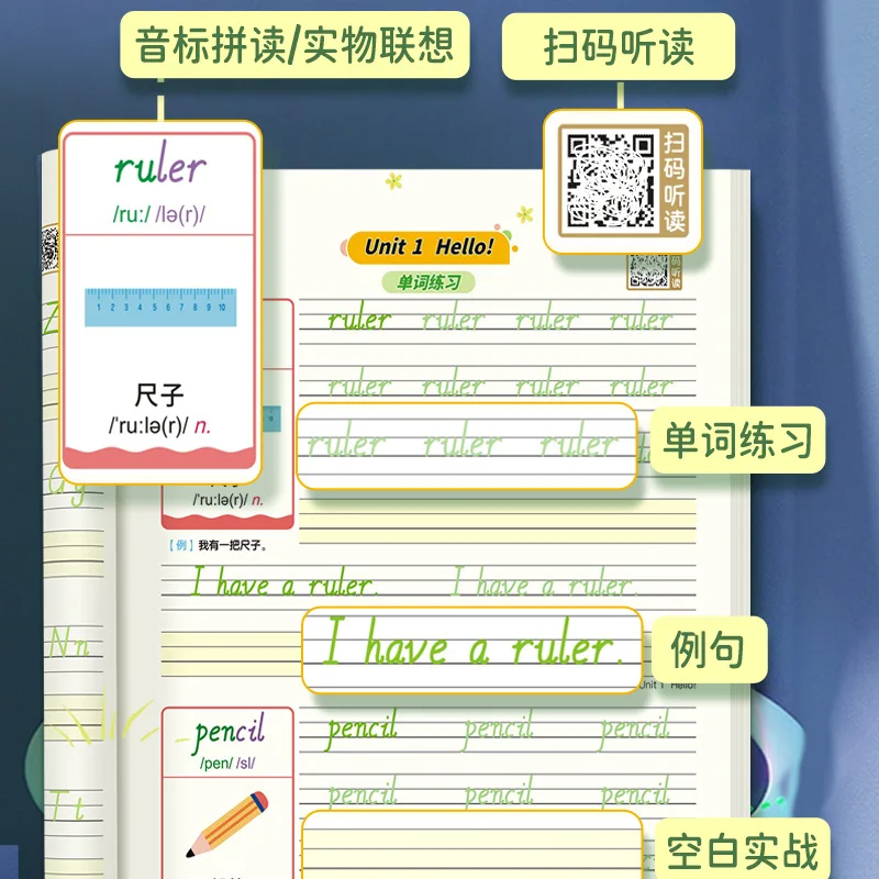 Hengshui Physical Education English Practice Script, English Alphabet Words for Primary School Grades 3-6, Synchronized with PEP