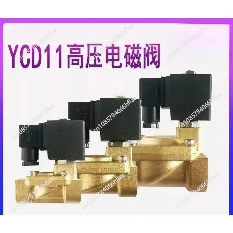 YCD11 high-pressure solenoid water valve pilot diaphragm solenoid valve normally closed diaphragm valve 1.6MPA
