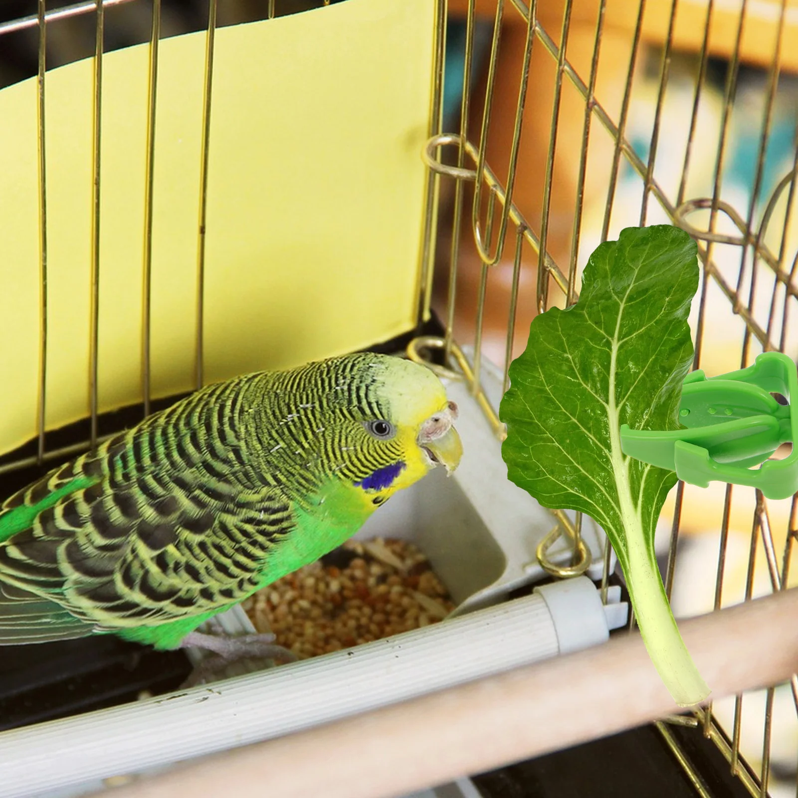 

20pcs Vegetable Clips Parrot Fruit Feeder Holder Food Clip For Budgie Macaw Cage Accessories Skewer Hanger Durable Pp Material