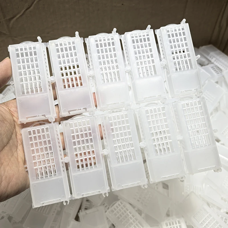 

20Pcs Beekeeping Bees Transparent Queen Cages, Bee Queen Transport Cages, Apiculture Insect Beehive Rearing Prisoner King Cage
