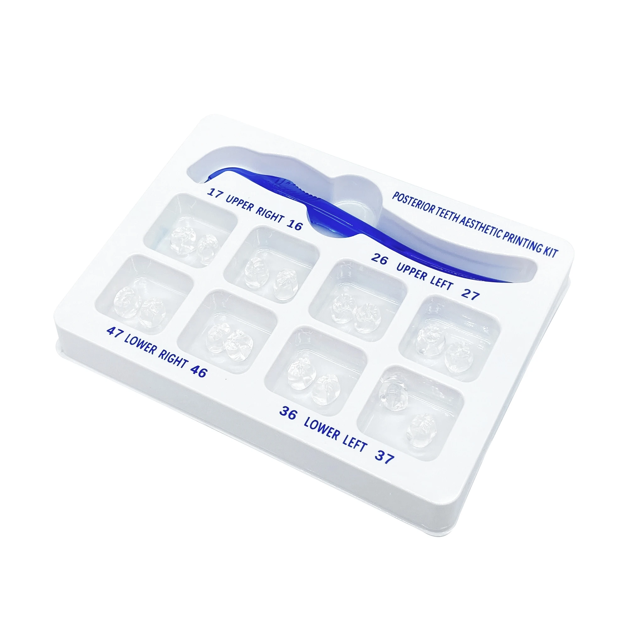 WELL CK Dental Posterior Teeth Aesthetic Printing Mould Kit For Light Cure Composite Restoration Filling Tools