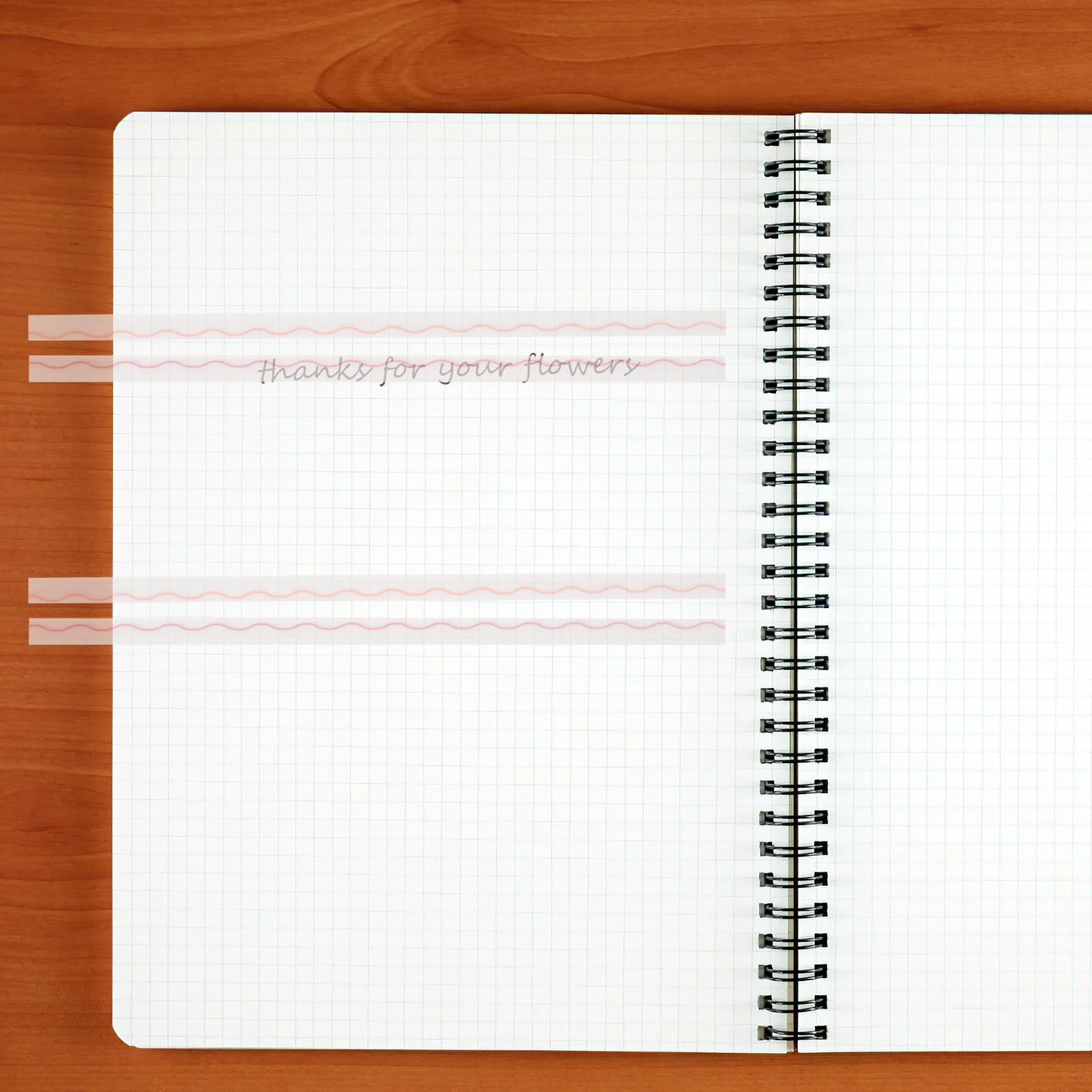 

Strips Gradient Notes Tabs Adhesive Reading Markers Portable The Pet Student