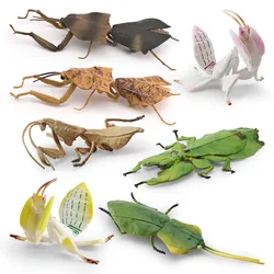 Simulated Insect Wild Animals Figurine Mantis Spider Orchid Mantis Plastics Animal Model Action Figure Children Educational Toys