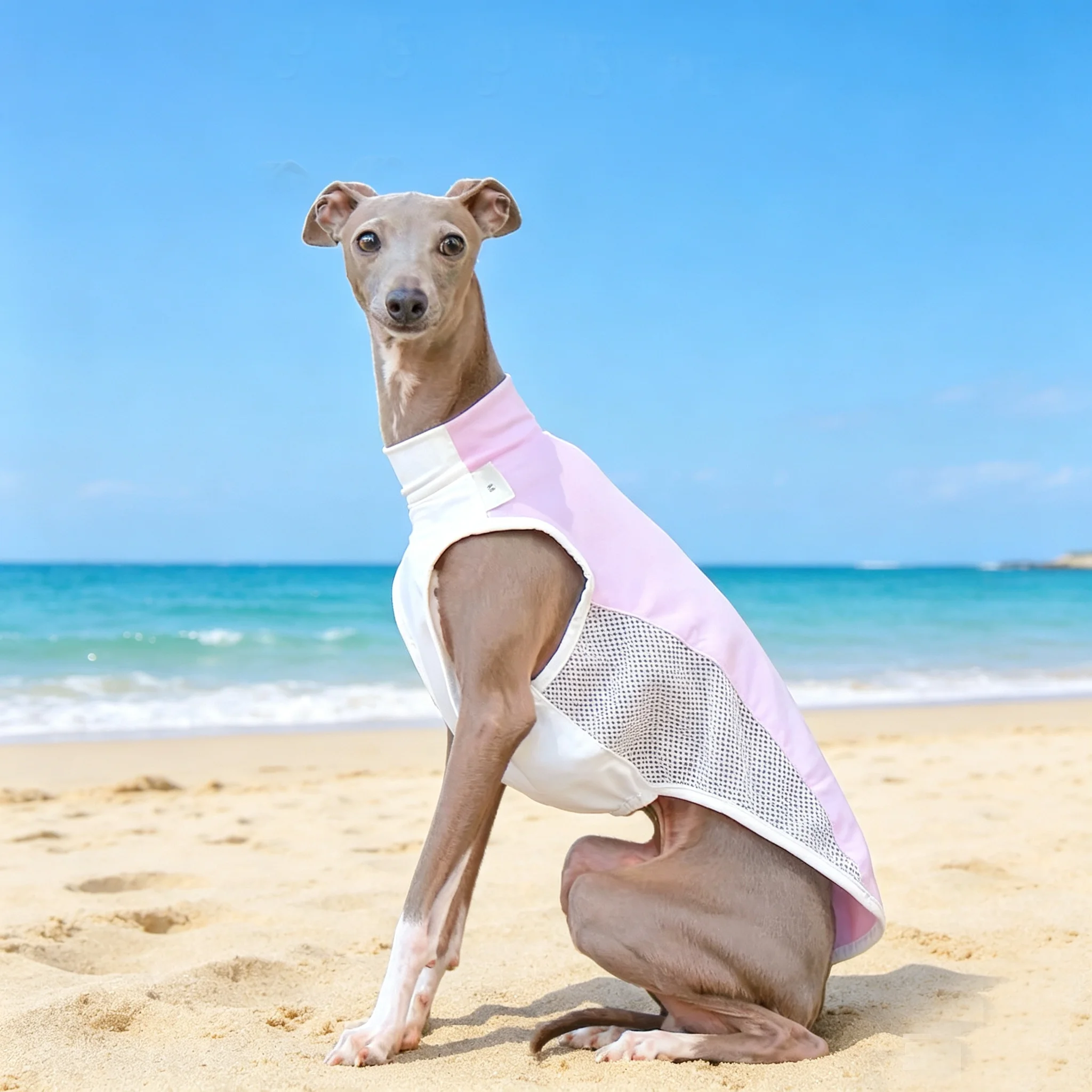 Chaleco transpirable verano protección solar Whippet y Galgo Italiano - imagen 5