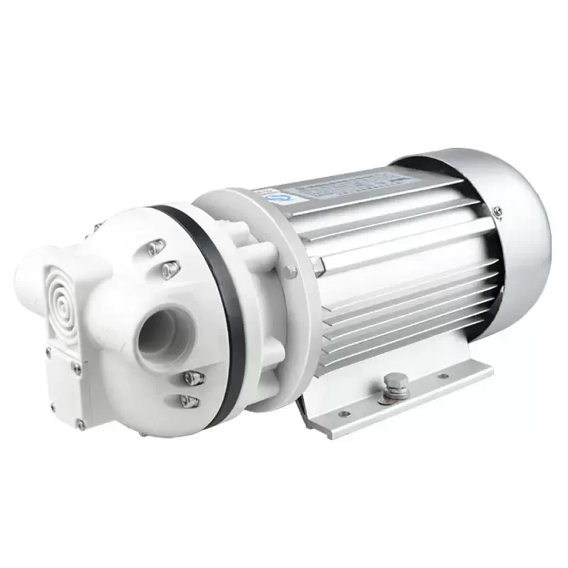 For Customized 220V Explosion Proof Diaphragm Pump Acid Alkali Self Priming Methanol Alcohol Sulfuric Acid Chemical Electric