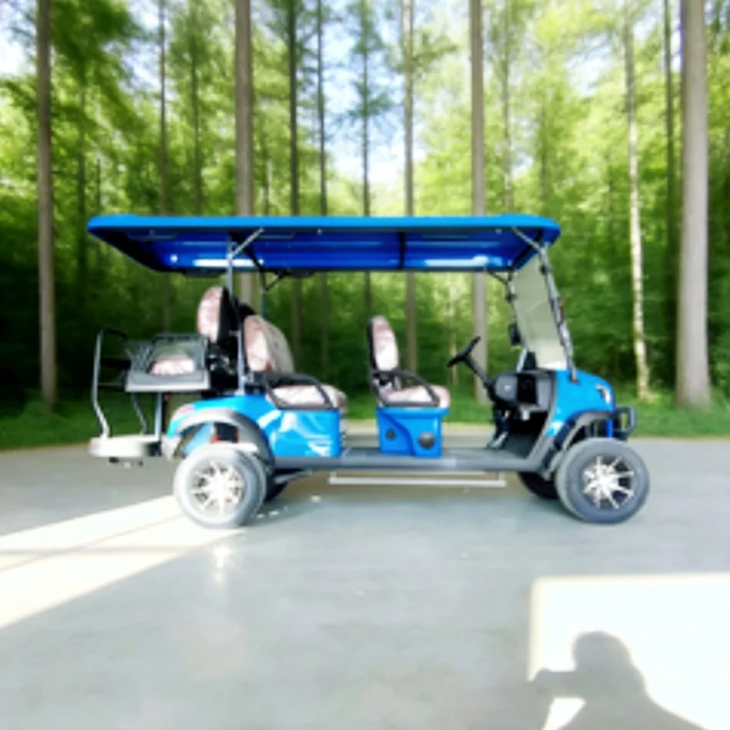 

New Electric Golf Cart Go Kart Adult 6 Passenger Sightseeing Buggy Club Car Brown High-End Seats Folding Windshield Front Bumper
