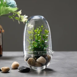 Creative Egg-shaped Glass Bottles Green Succulent Moss Bottle Glass Vase Glass Terrarium Bonsai Home Desktop Decor