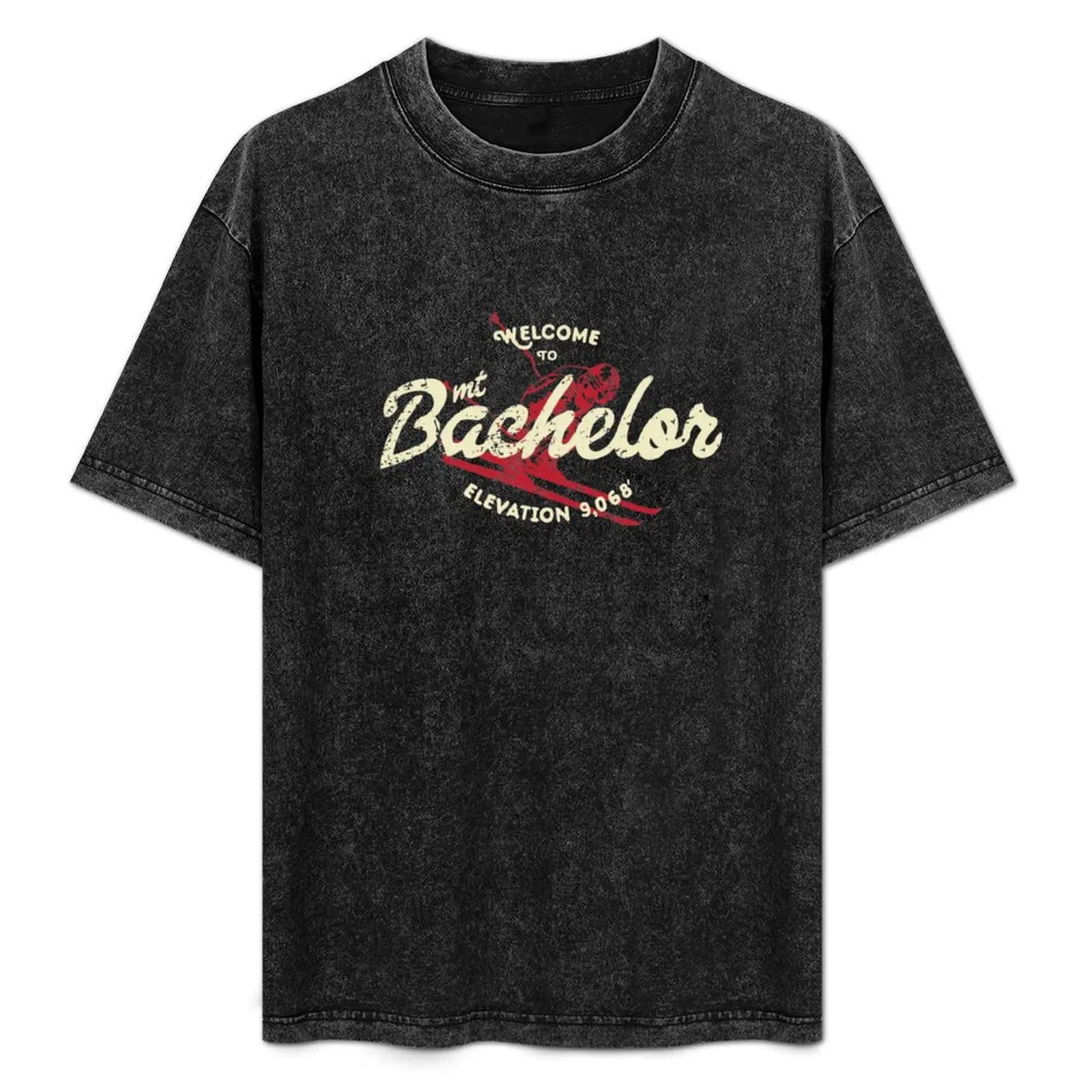 

Mt Bachelor Vintage T-Shirt Performance Workout Short Sleeve Tee