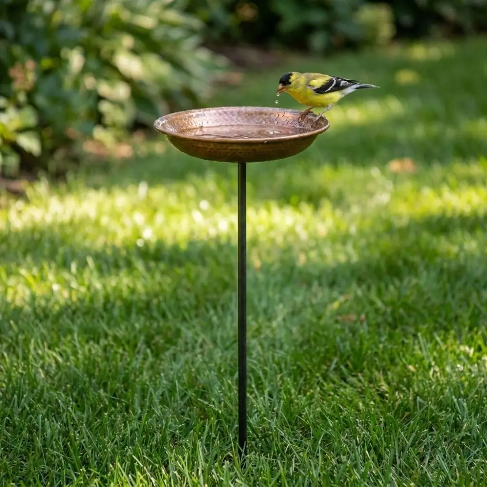 Thumbnail 2 - #68 Best Rated Bird Baths to Buy in 2026