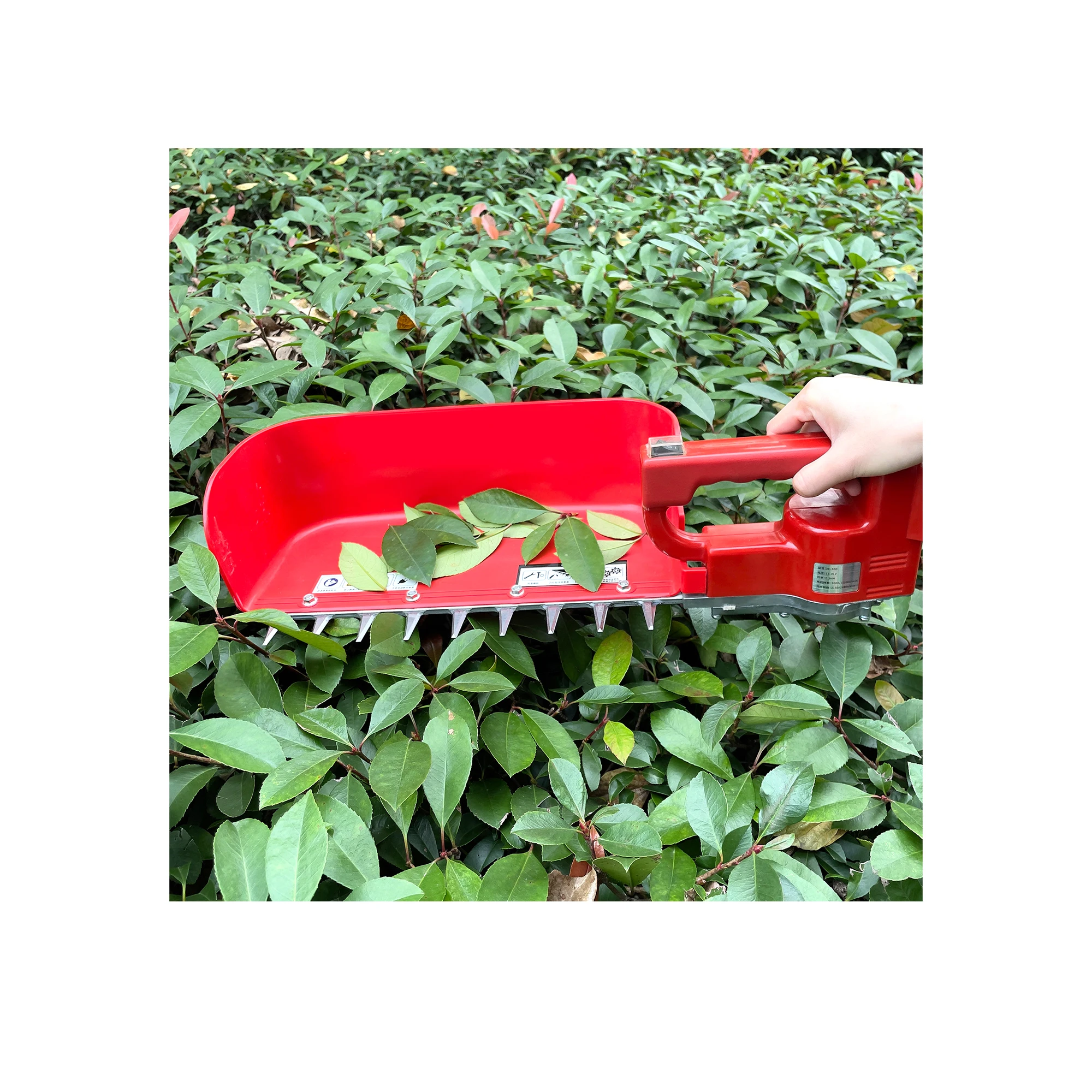 Brushless 24V Electric  Mini Handle  Tea Leaf Picker Tea  Harvesting  Machine Tea Packing Machine