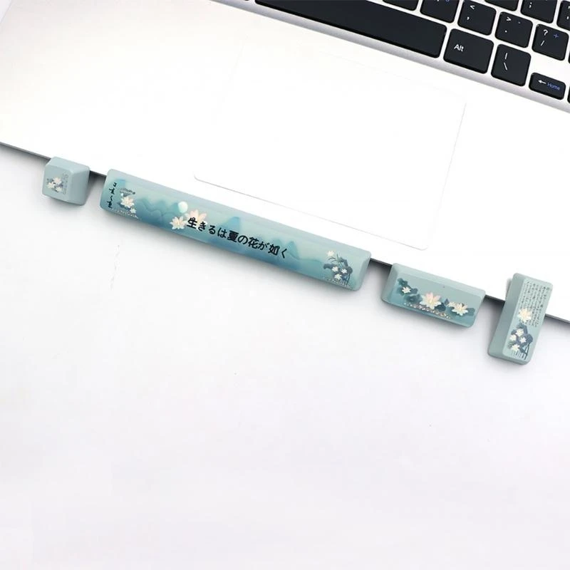 5asd 4pcs PBT OEM Keycaps Dye-sub để nhập không gian Esc cơ học Công tắc