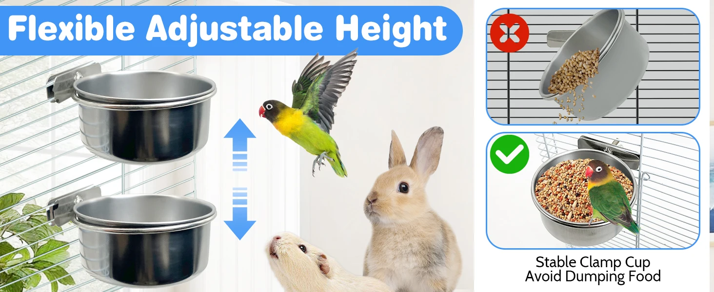 Bird Bowls with Clamp