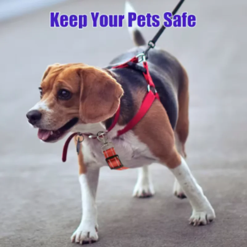 Adjustable Double Hook Telescopic Extension Rope for Dogs And Cats with Night Safety Reflective Strap Pet Combination Accessory