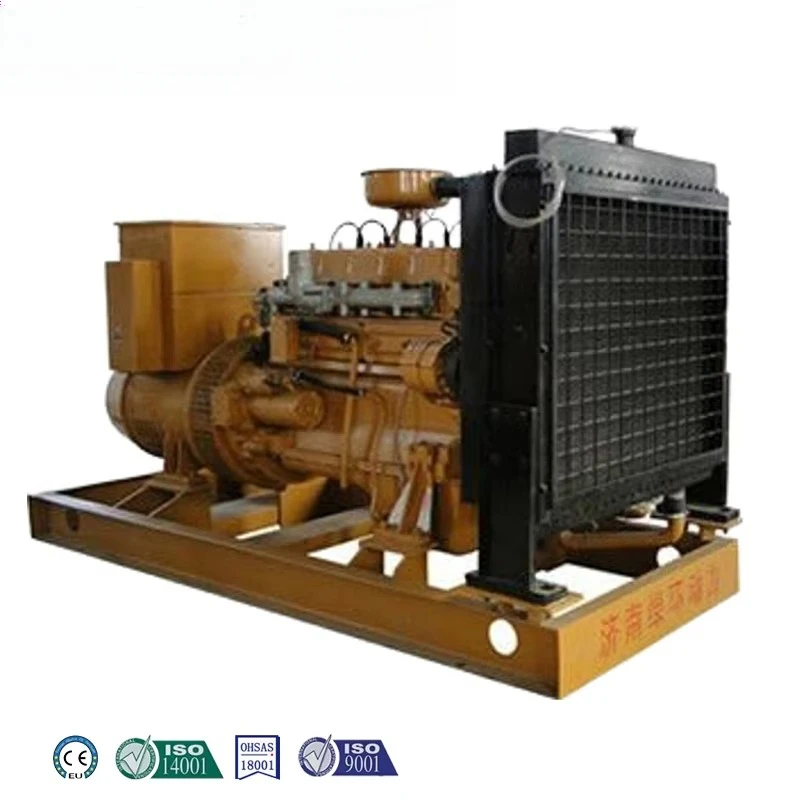 Home Using Competitive Price Mini Generator 30kw Biogas Plant forHousehold