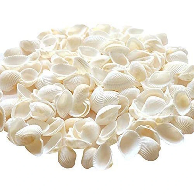 صدفة صدفة طبيعية صناعة يدوية صناعة يدوية ، إنتاج إبداعي ، تلوين ، خاص ، 25 قطعة