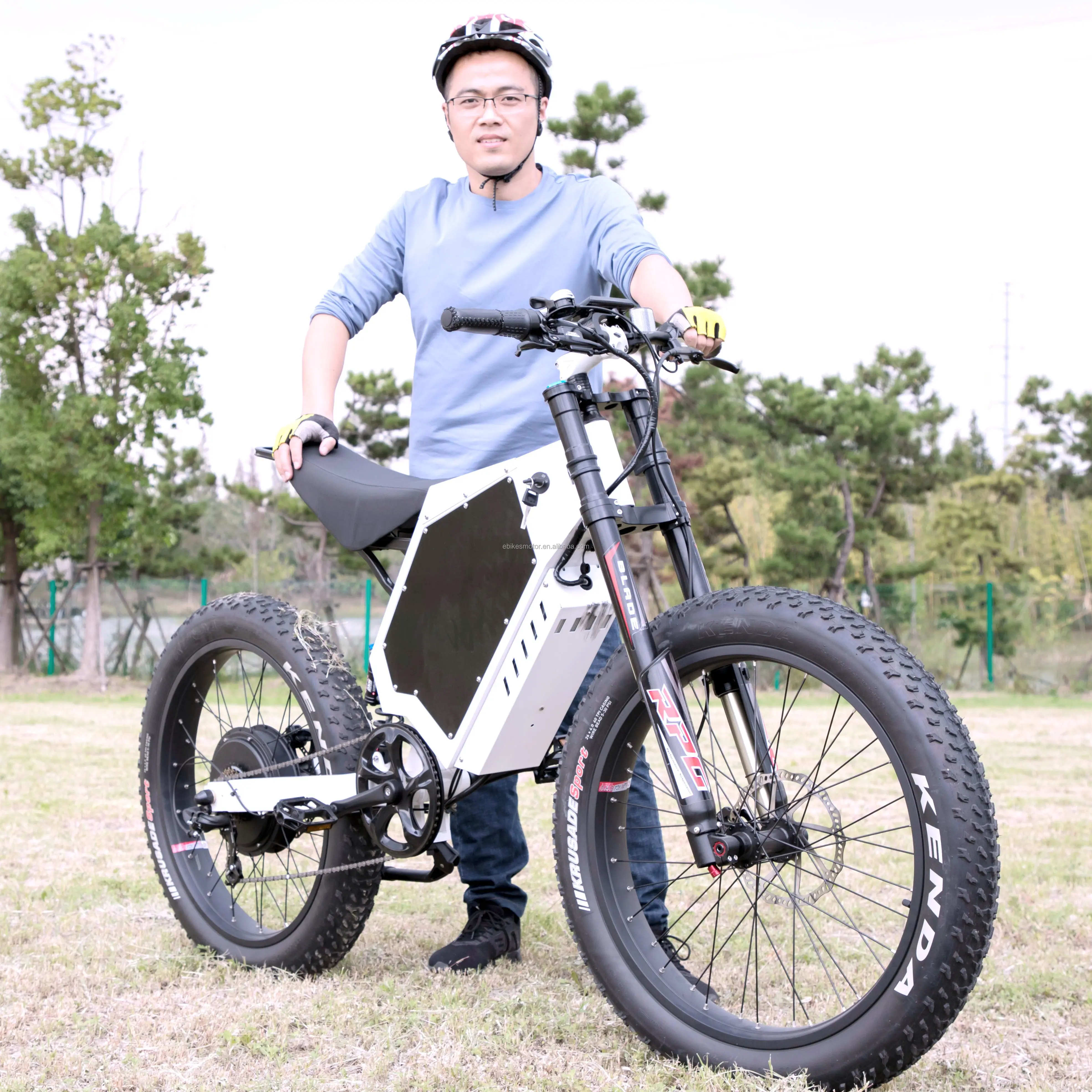 Outdoor Family Cargo Ebike 3000w Hub Motor 72v Fat Bike with Two Seat Cargo Electric Bicycles Loading Good Electric Bikes