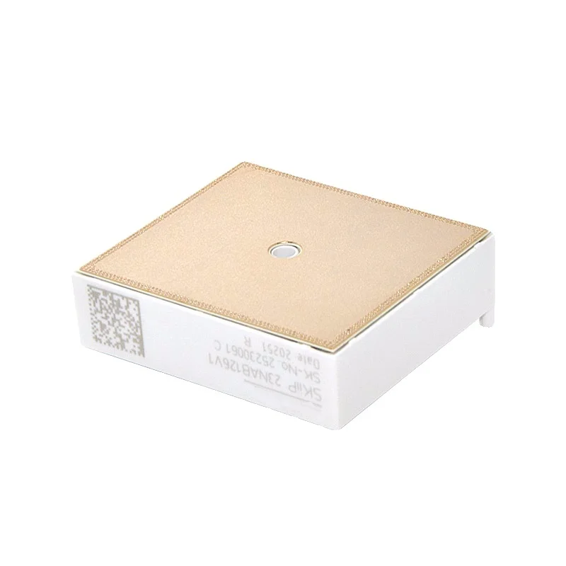 1개입 SKIIP23NAB126V1, SKIIP24NAB126V1, SKIIP 23NAB126V1, SKIIP 24NAB126V1 IGBT 모듈, 새 제품, 정품