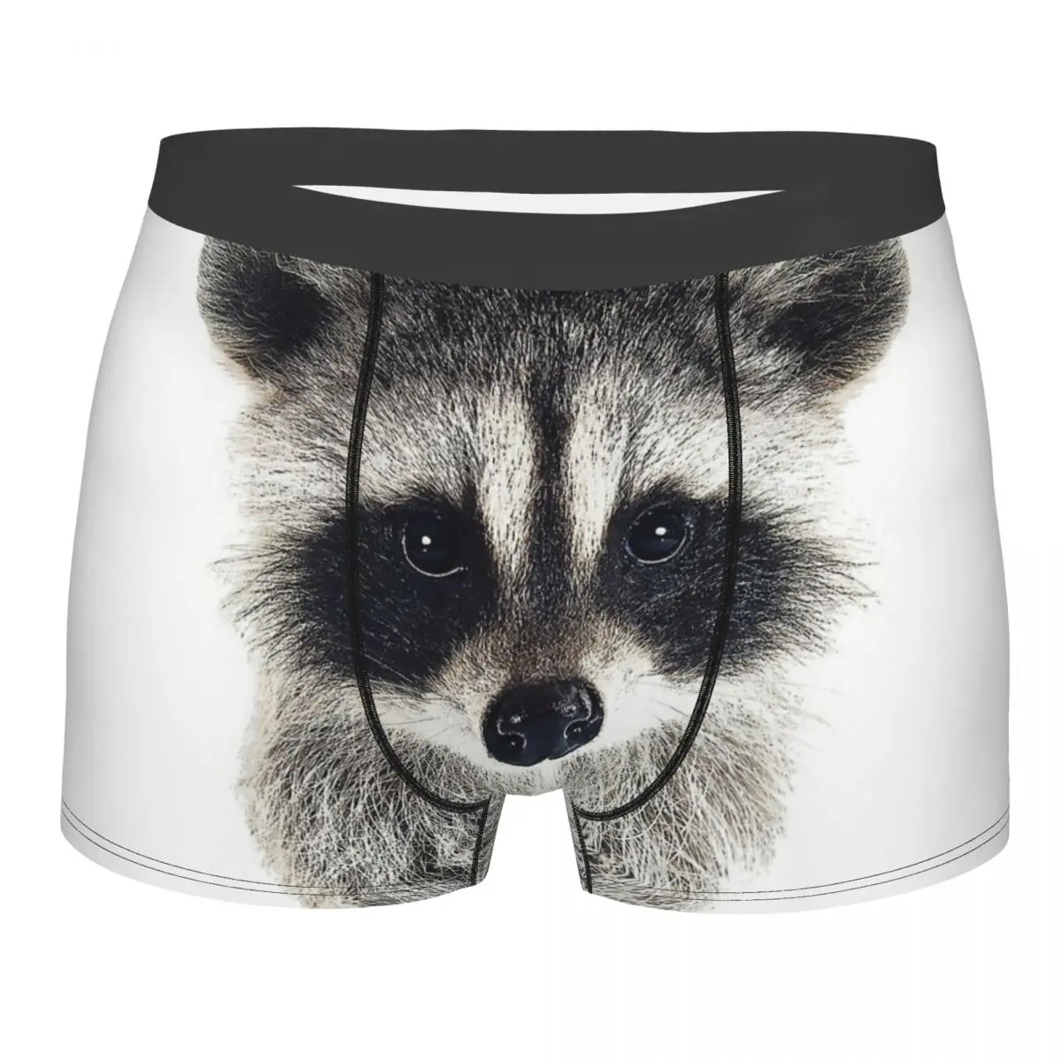 Baby Raccoon Underpants Homme Panties Man Underwear Ventilate Shorts Boxer Briefs