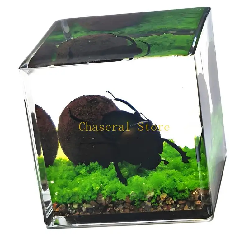 E7CE Realistic Insect Display Block Acrylic Crystal Resin Microlandscape Figure For Office Home Desk Shelf Decors