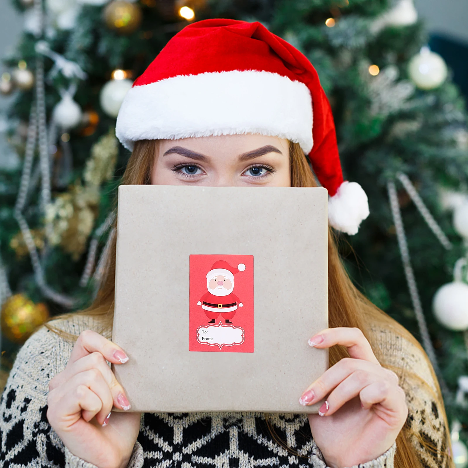 

2 Rolls Sticker Decoration Cartoon Stickers Name Tag Decorative Copper Plate Holiday