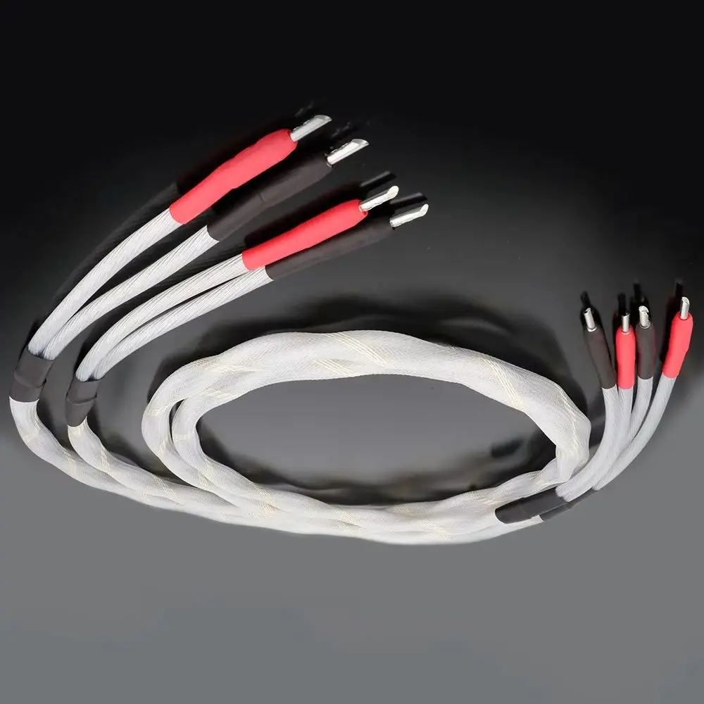 Pair 5N Occ Silver … - image