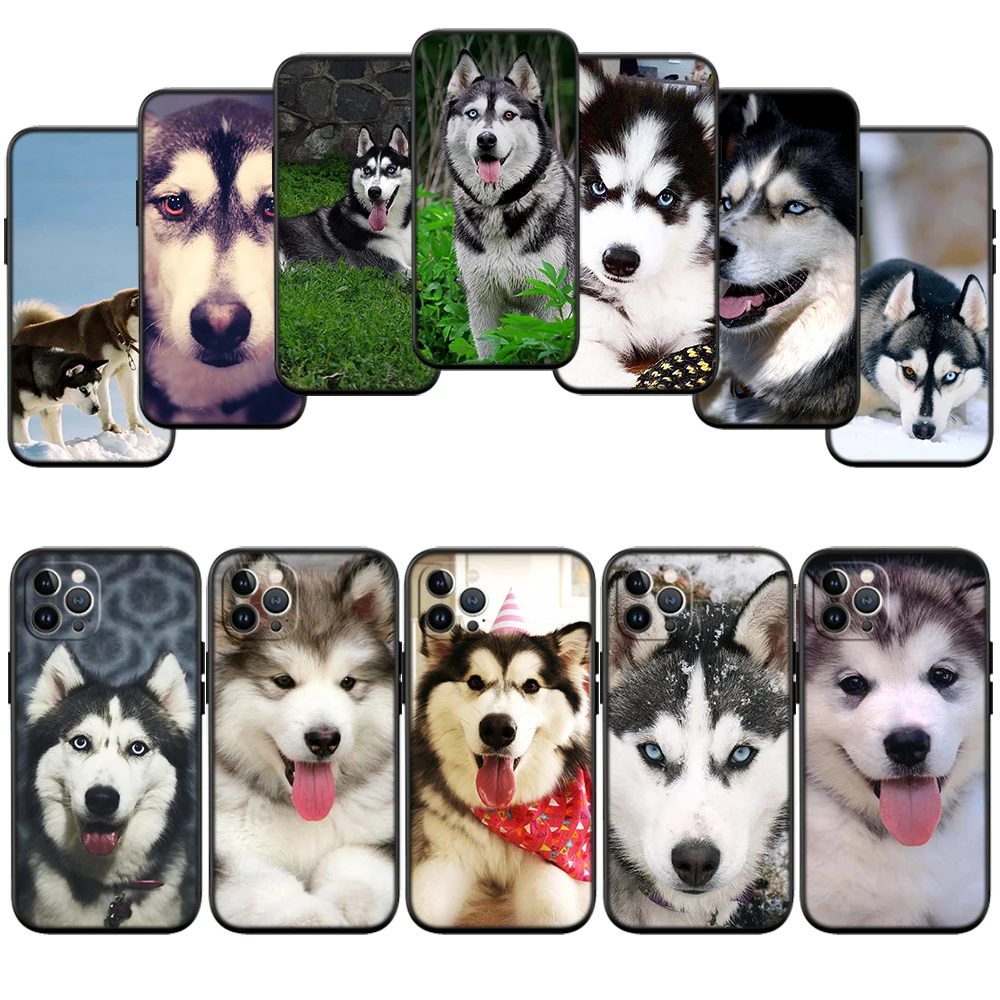 IJ35 husky dog Phone Case for Samsung Galaxy M06 M15 M16 M35 M55 M56 A36 A42 A50 A50S A51 A52 A32 A33 A05 A05S A06 A16 A20