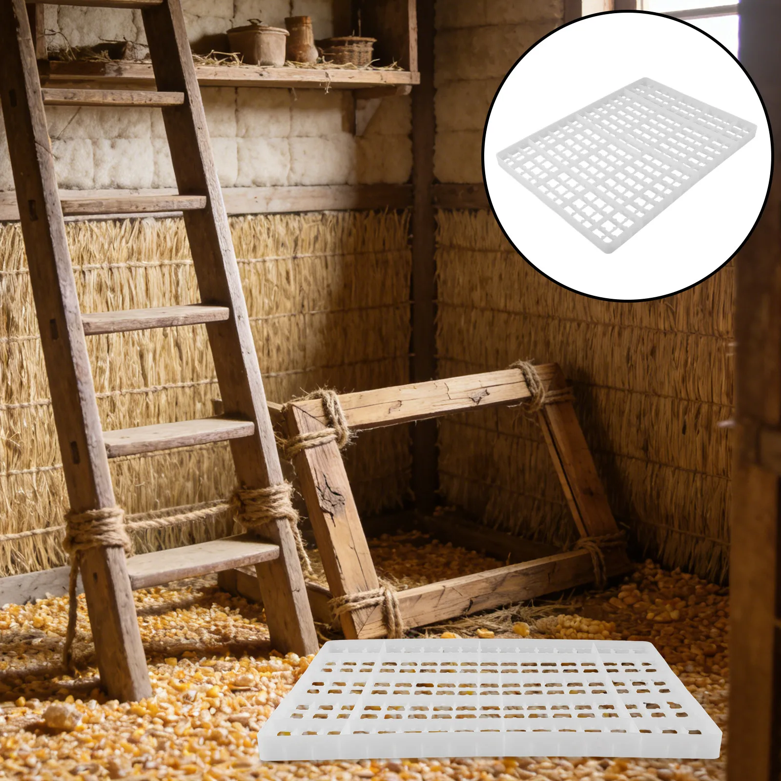 2 Bandejas para Incubadora de  - Quail Egg Incubator avaliação e preço