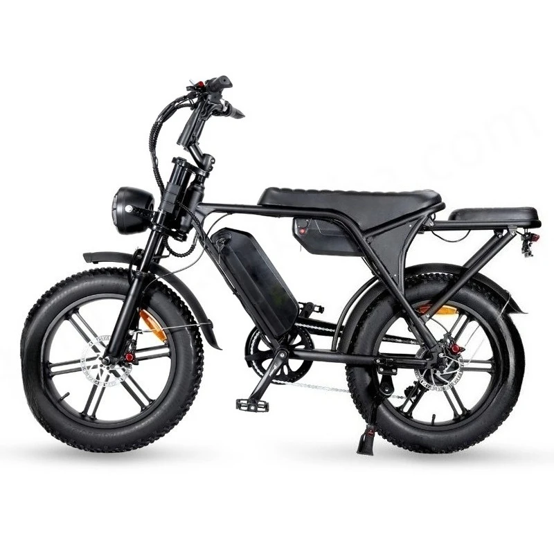 BR E Bike  V8 C80 Max 2 Battery 20*4inch 250W /500W/750W Ebike Fatbike Electric Bike Price 48v Electric Mountain Bike