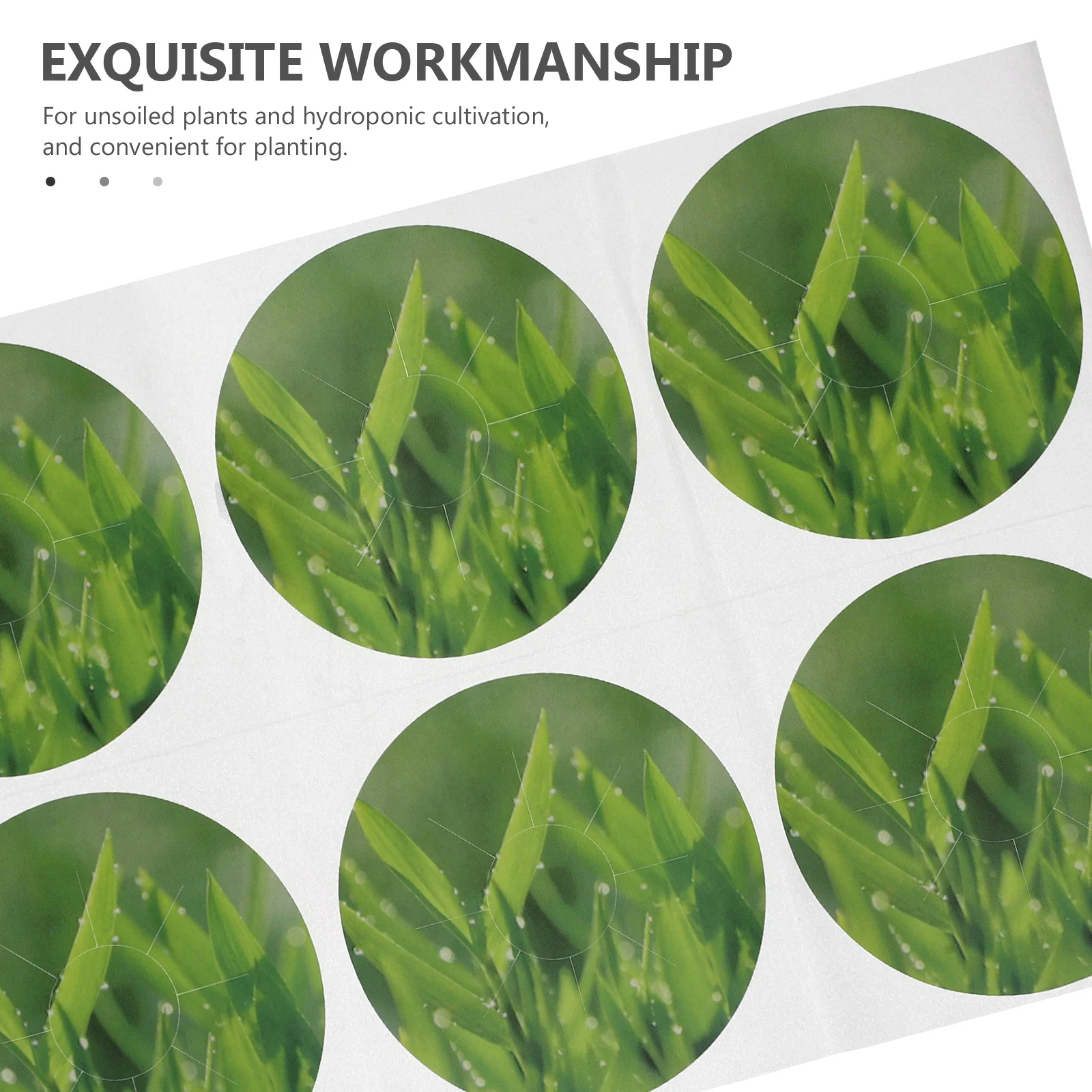 

1Set Hydroponic Planting Basket PP Material Slotted Design Root Growth Net Pots Hydroponic Cultivation Germination Plant