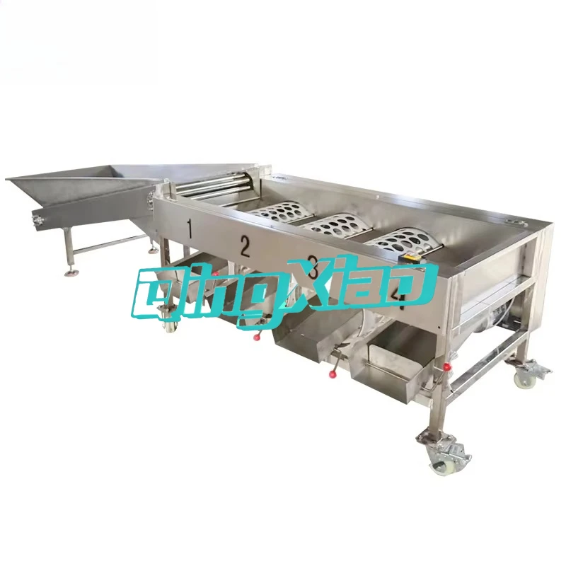 Automatic Stainless Steel Fruit Vegetables Grading Sorting Machine High Efficiency Nut Garlic Processor Food Processing Industry