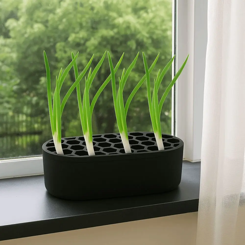 

Hydroponic Hydroponic Planting Tray Plants Growing Regenerator System Scallion Regenerator Scallion Growing Growing Tray Indoor