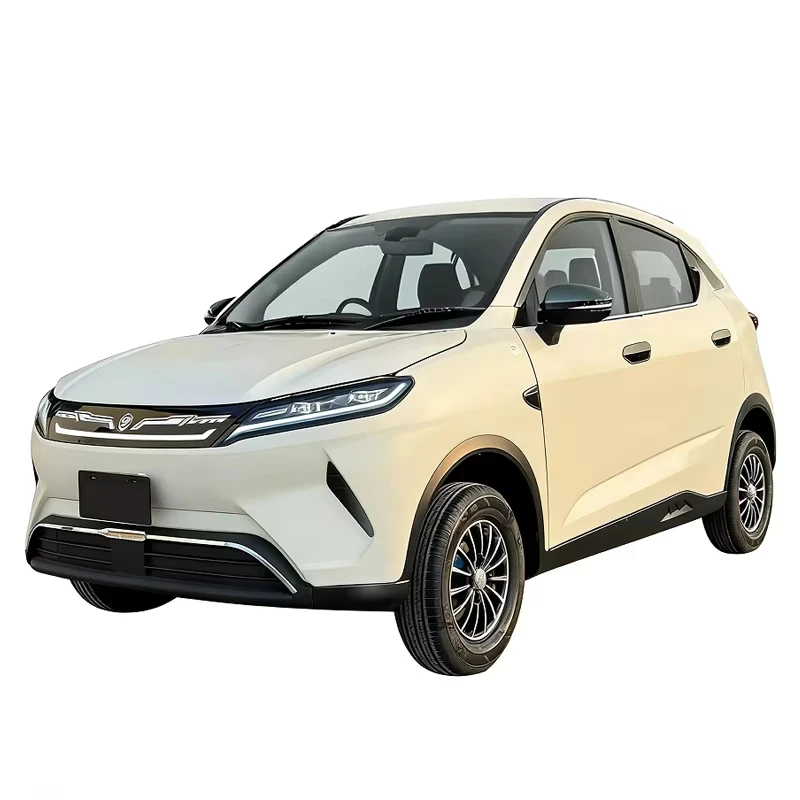 Four-seater electric vehicle with a cruising range of 100 kilometers, enclosed adult electric vehicle