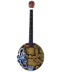 Qinqin semitone Twelve equal law 19 grades Chinese national plucked string instrument