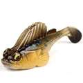 locus coeruleus 10g