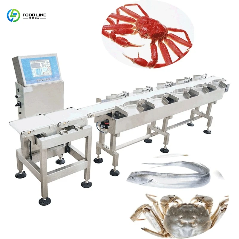 Food Grade Stainless Steel Fish Shrimp Meat Automatic Weight Grading Machine