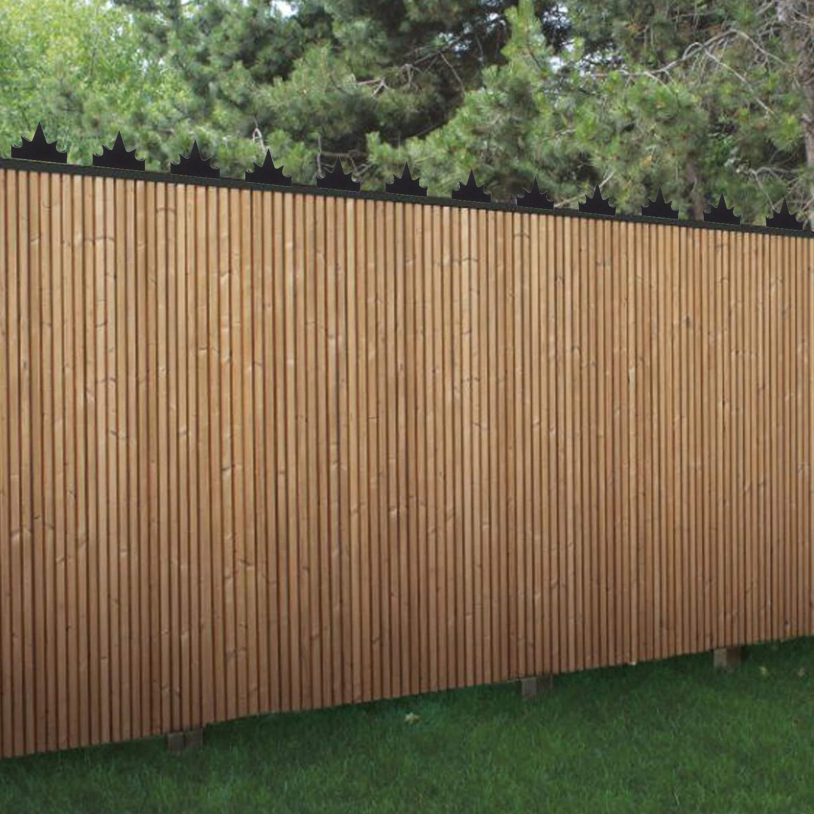 

Anti-climbing Fence Nails Decorative Spike Fencing Wall Spikes Fences Metal for Ground Gate Baby