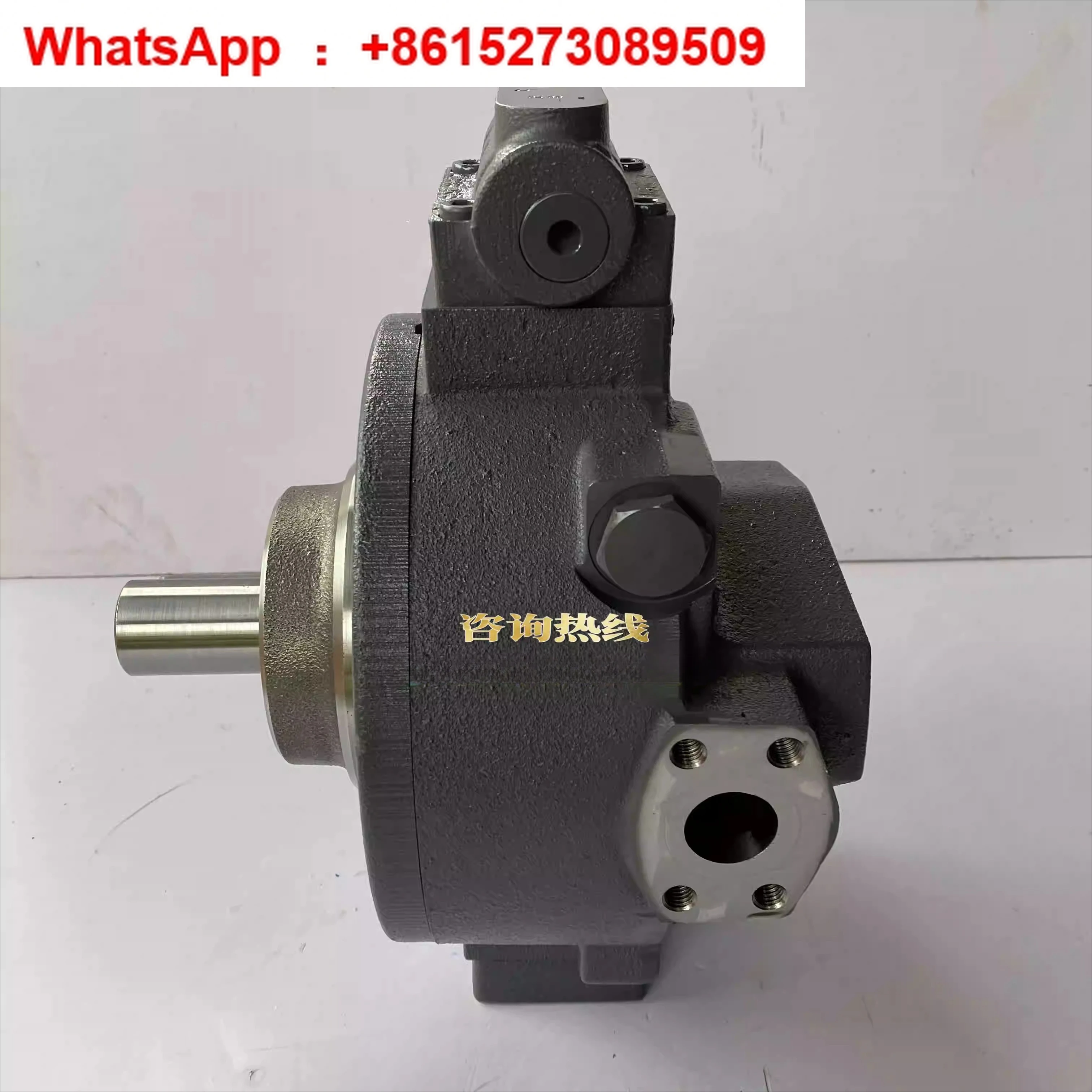 

Original American D691-Z2086 D-71034 0514 700 023 radial piston pump