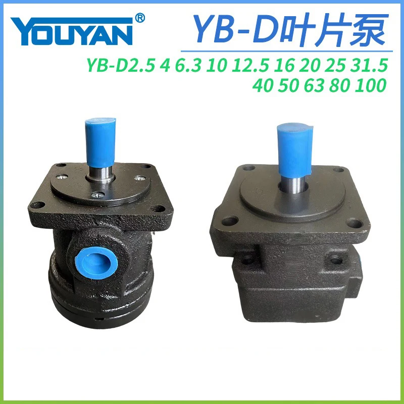 YB-D6.3 Pompa a palette D4 D2.5D10 D12 D16 D20 D25 D32 D40 YBD50 63 80 100
