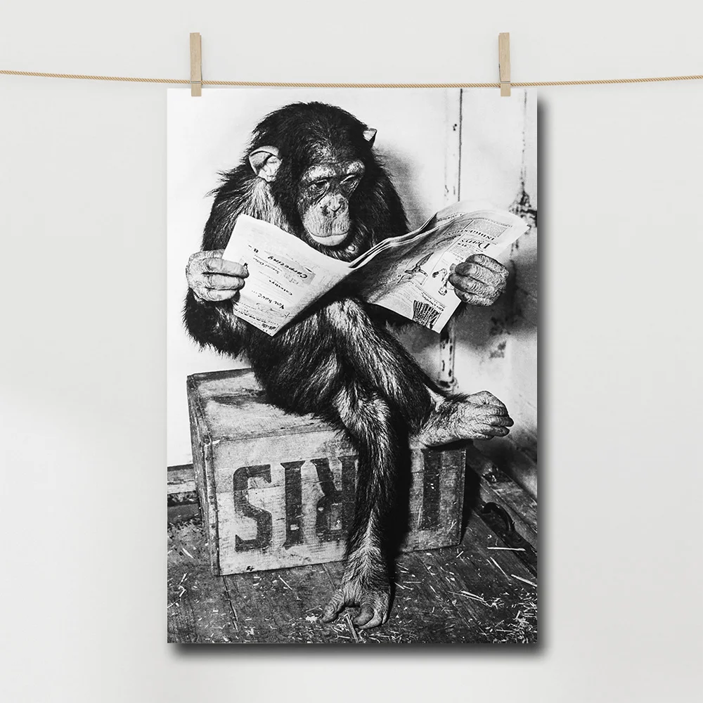 Monkey Reading Newspaper Canvas Painting Funny Black and White Wall Art Poster Room Decoration Accessories